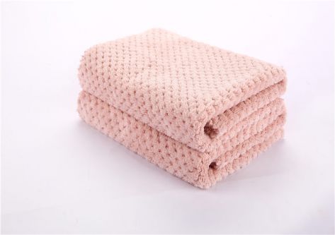 Beibeige Coral Fleece Cloth JY019S
