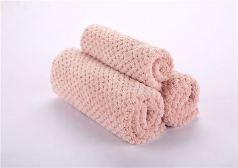 Beibeige Coral Fleece Cloth JY019S